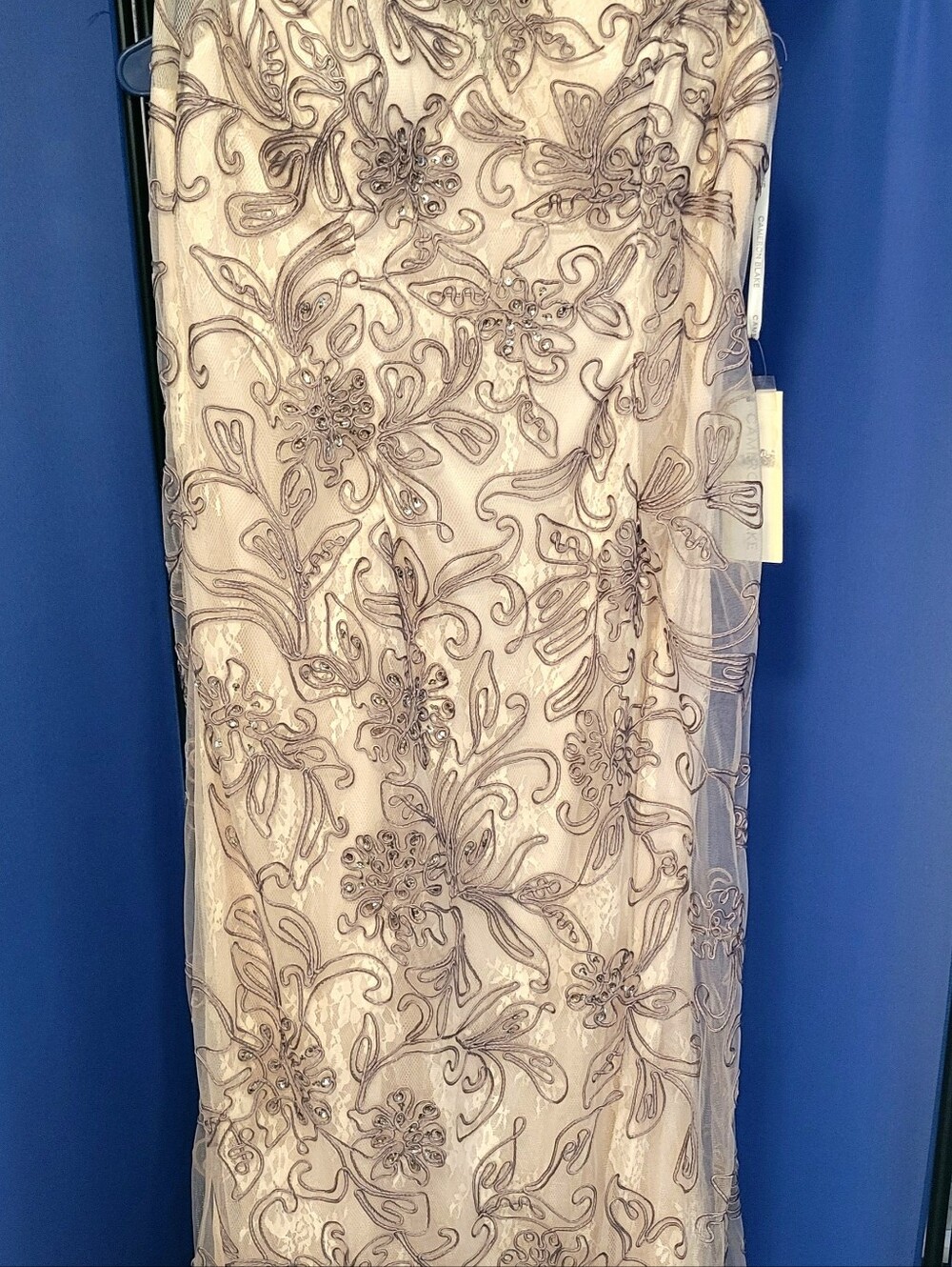 Cameron Blake Blush Maxi Dress with Silver Embroidery - Picture 4 of 9